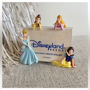 🪞 Disney princess magnetic disneyland resort photo frame